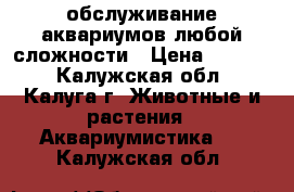 обслуживание аквариумов любой сложности › Цена ­ 3 000 - Калужская обл., Калуга г. Животные и растения » Аквариумистика   . Калужская обл.